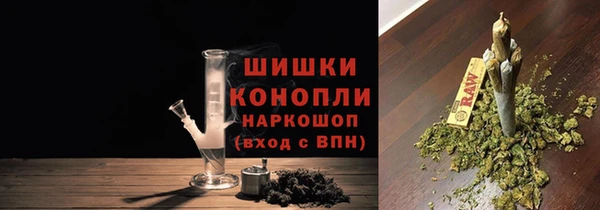 гидра Переславль-Залесский
