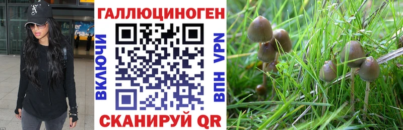 Галлюциногенные грибы Psilocybe  кракен маркетплейс  Красный Кут  маркетплейс как зайти  даркнет сайт 