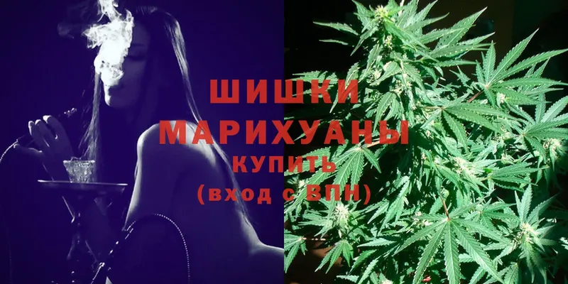 купить закладку  Красный Кут  Шишки марихуана SATIVA & INDICA 